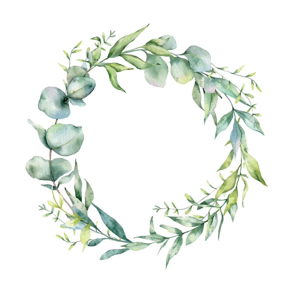 Eucalyptus Frame Watercolor, Floral Frame, Greenery Frame, Floral Arrangement, Green Leaves Composition vector