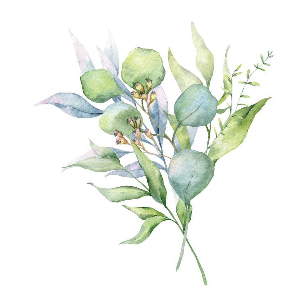 Eucalyptus Bouquet Watercolor, Floral Bouquet, Greenery Arrangement, Floral Arrangement, Green Leaves Composition vector