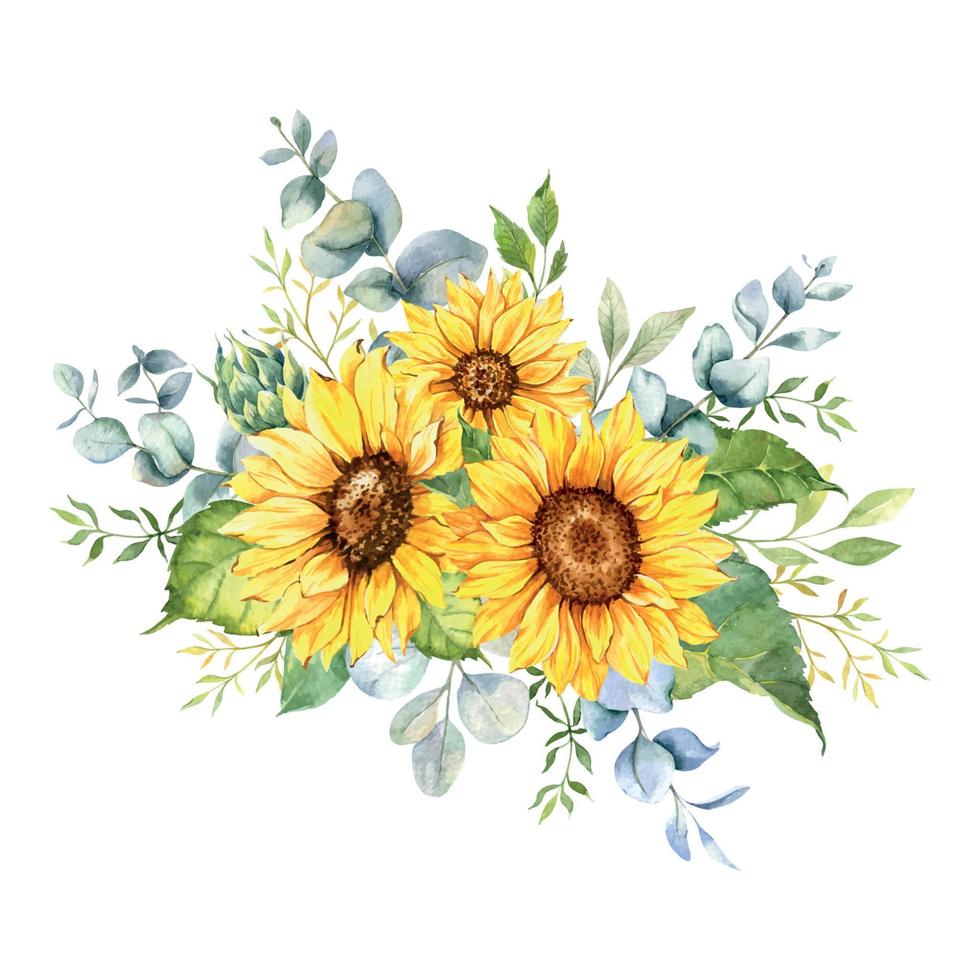 Watercolor sunflowers bouquet, hand painted sunflower bouquets, sunfower flower arrangement. Wedding invitation clipart elements. Watercolor floral. Botanical Drawing. White background vector