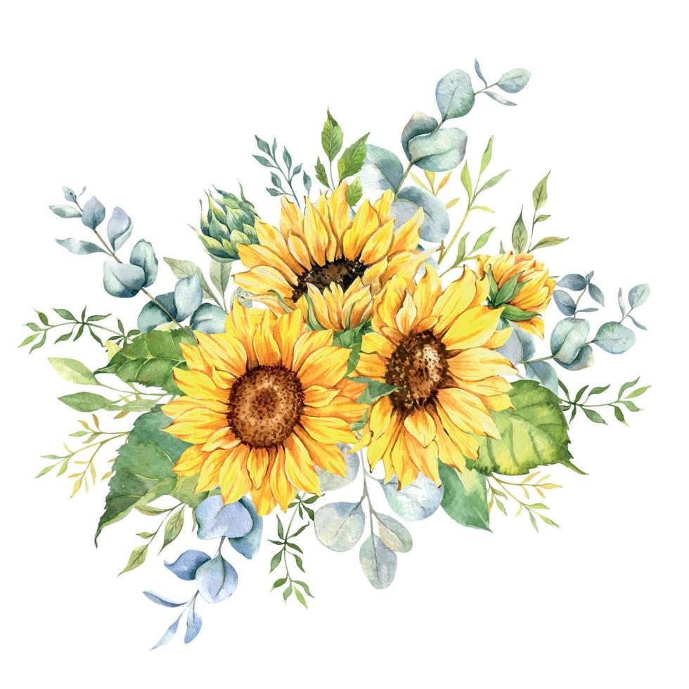 Watercolor sunflowers bouquet, hand painted sunflower bouquets, sunfower flower arrangement. Wedding invitation clipart elements. Watercolor floral. Botanical Drawing. White background vector