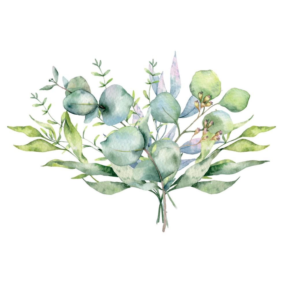 Eucalyptus Bouquet Watercolor, Floral Bouquet, Greenery Arrangement, Floral Arrangement, Green Leaves Composition vector