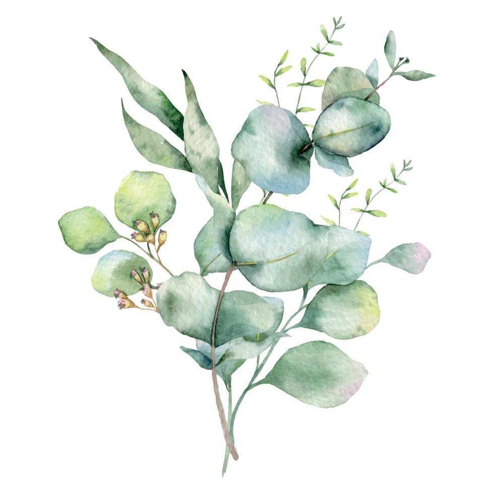 Eucalyptus Bouquet Watercolor, Floral Bouquet, Greenery Arrangement, Floral Arrangement, Green Leaves Composition vector