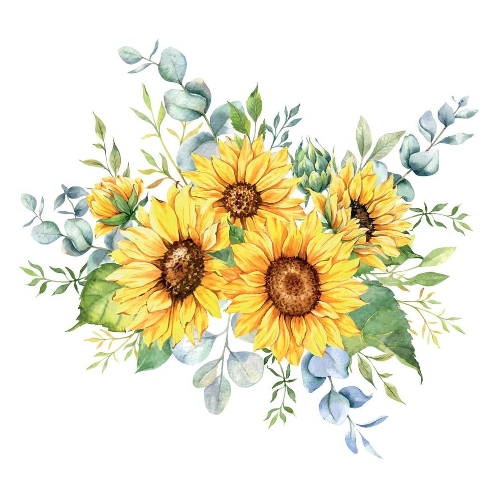Watercolor sunflowers bouquet, hand painted sunflower bouquets, sunfower flower arrangement. Wedding invitation clipart elements. Watercolor floral. Botanical Drawing. White background vector