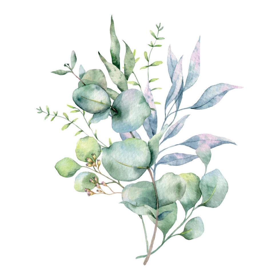 Eucalyptus Bouquet Watercolor, Floral Bouquet, Greenery Arrangement, Floral Arrangement, Green Leaves Composition vector