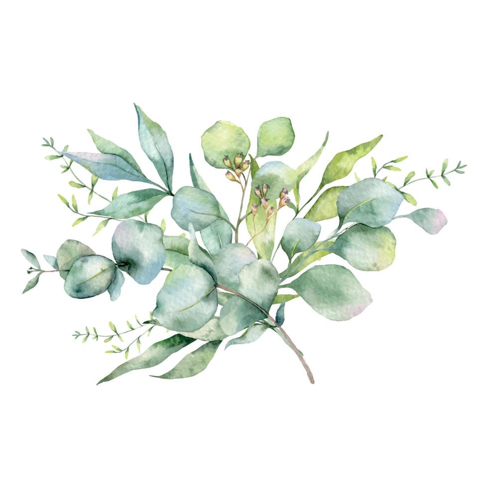 Eucalyptus Bouquet Watercolor, Floral Bouquet, Greenery Arrangement, Floral Arrangement, Green Leaves Composition vector