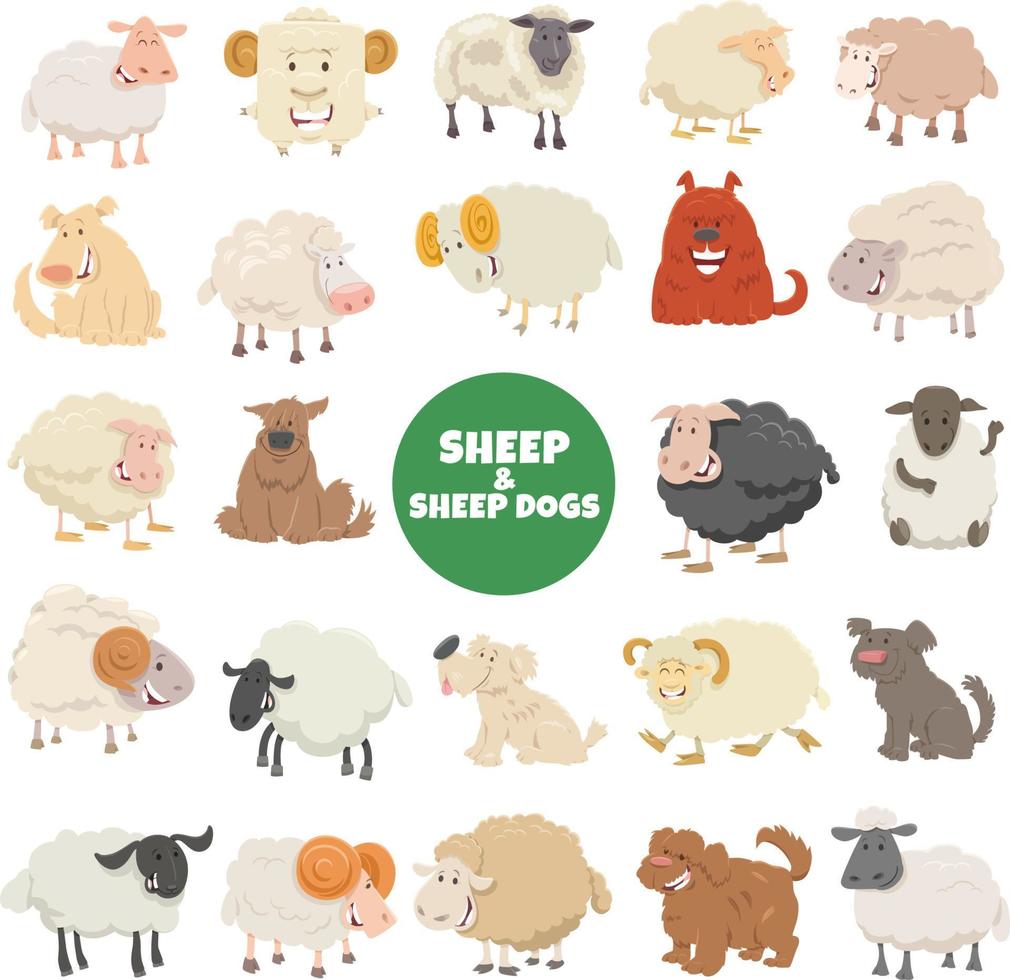 cartoon sheep and sheepdogs characters big set vector