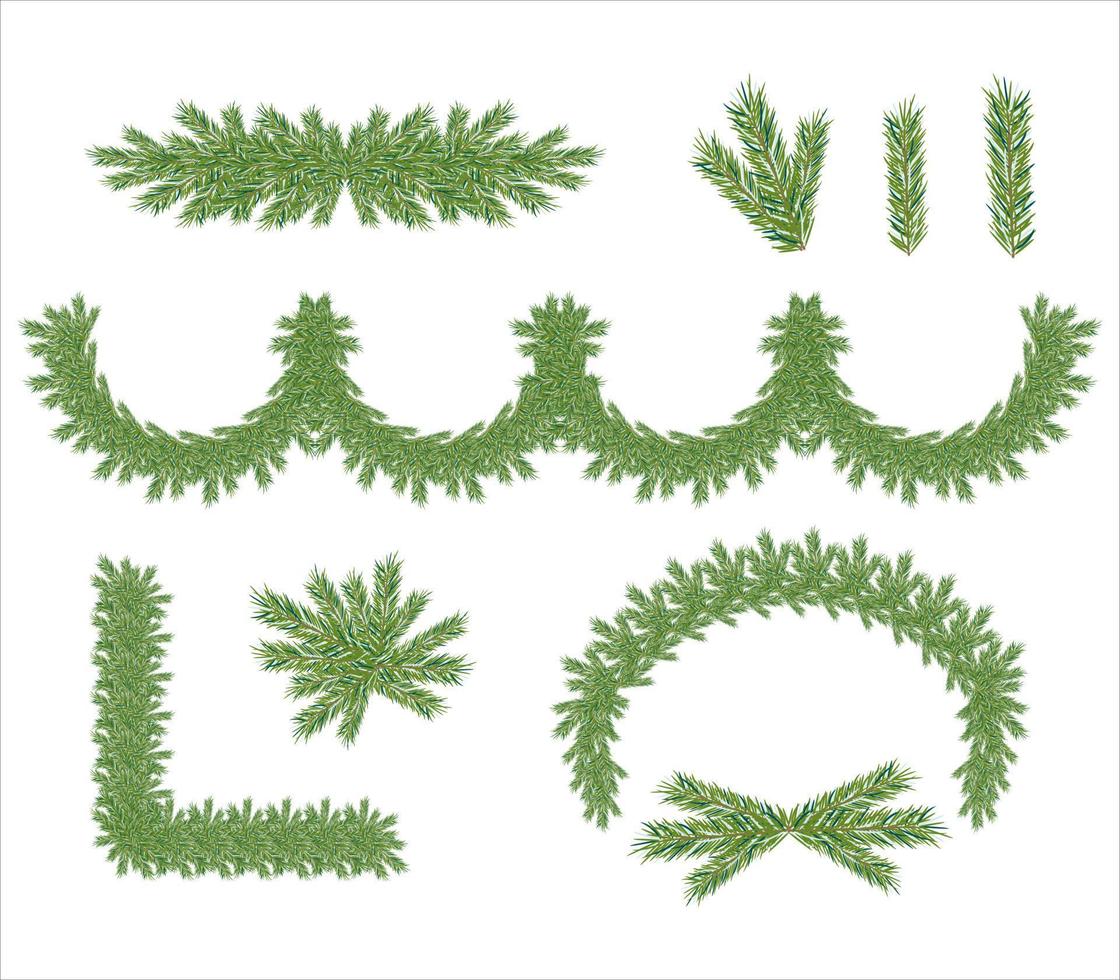 Beautiful realistic closeup of green spruce tree for celebration design. Natural art decoration. vector