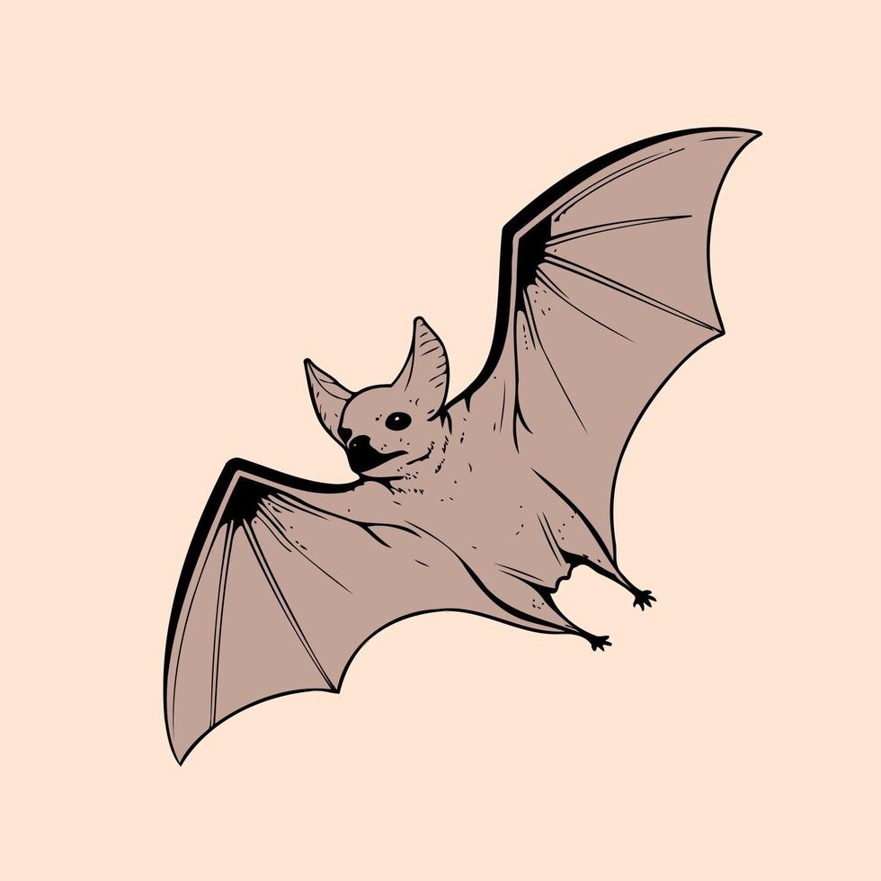 Color illustration of a bat animal vector