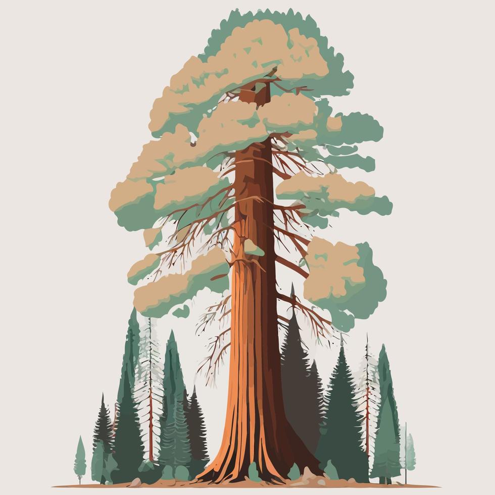 adult giant sequoia tree vector