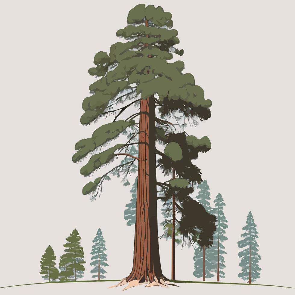 adult giant sequoia tree vector