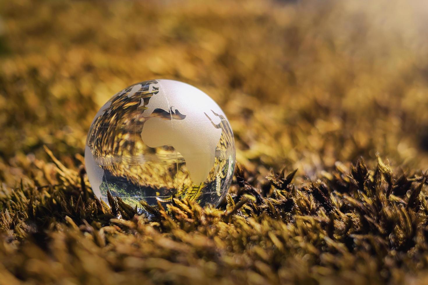 globe glass on grass with sunshine. environment concept photo