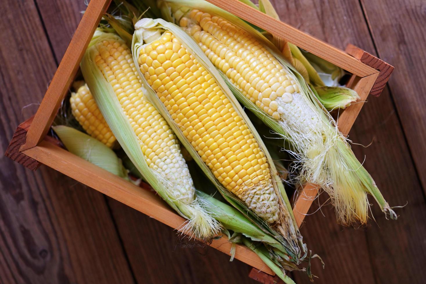 maíz en mazorca, maíz dulce para cocinar alimentos - maíz fresco en caja de madera, cosecha de maíz maduro orgánico foto