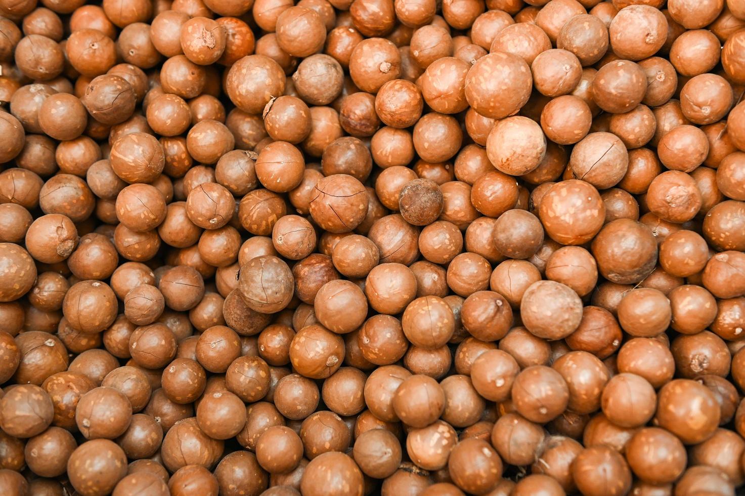 macadamia nuts texture background, fresh natural shelled raw macadamia nuts in a full frame, close up pile of roasted macadamia nut - top view photo
