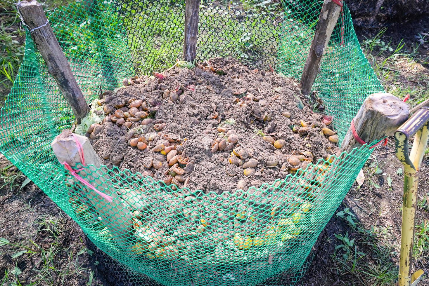 Bio composting - Fresh bio-waste and compost in the garden with food waste and fruit mixed with soil for use as fertilizer in growing crops photo