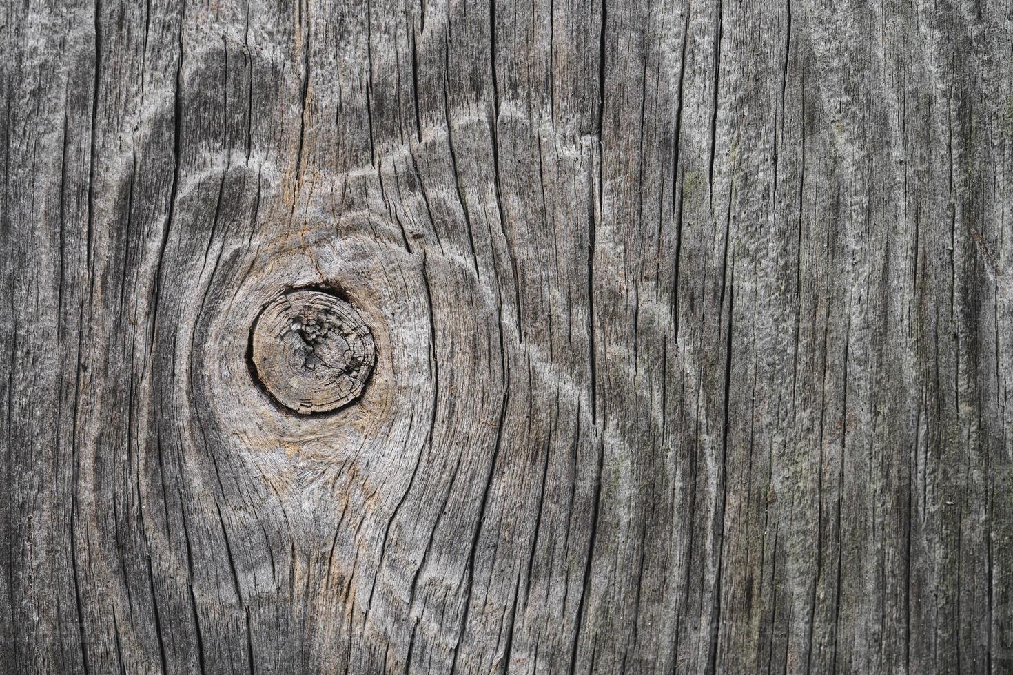 primer plano de textura de madera con fibras naturales, material de tablero para la construcción foto