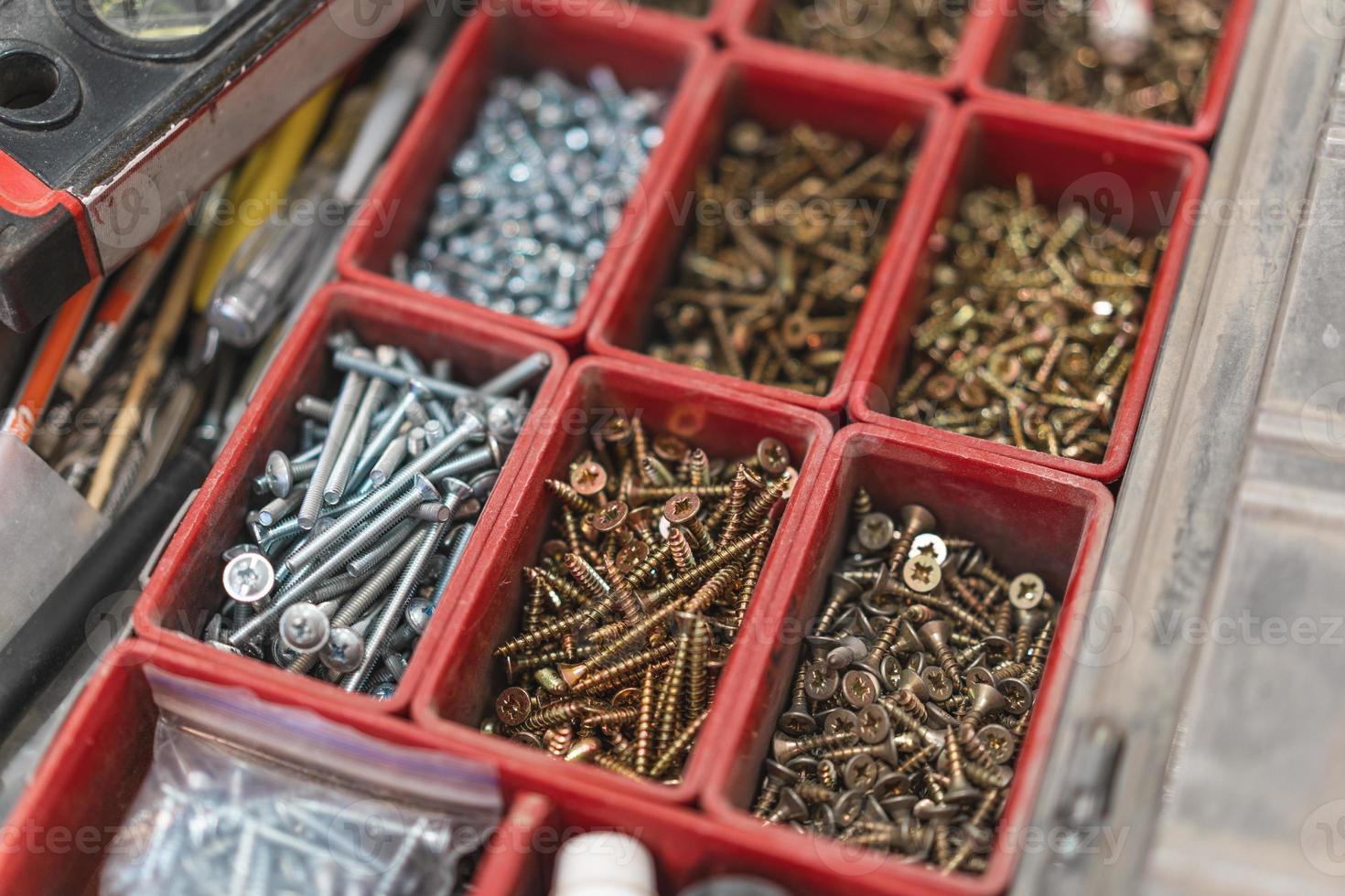 muchos tornillos diferentes en el organizador del maestro para el trabajo foto