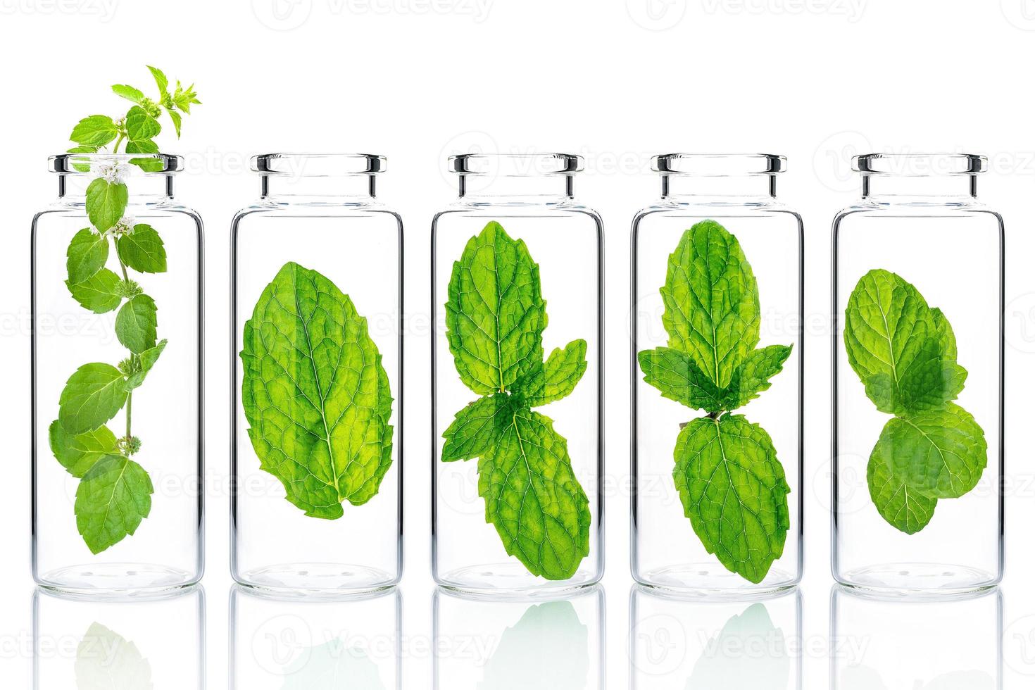 Bottles of essential oil with mint isolated on white background. photo