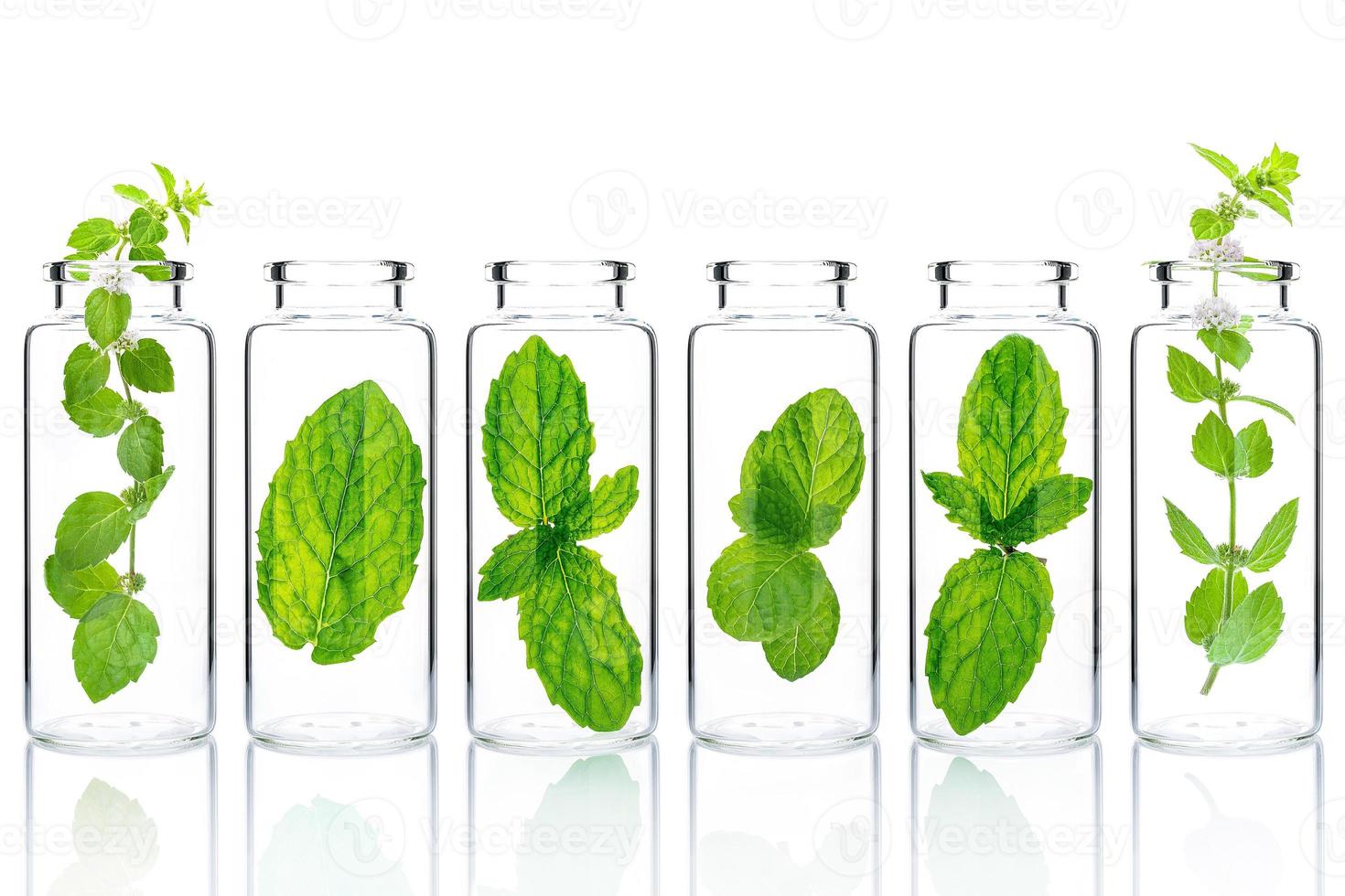 Bottles of essential oil with mint isolated on white background. photo