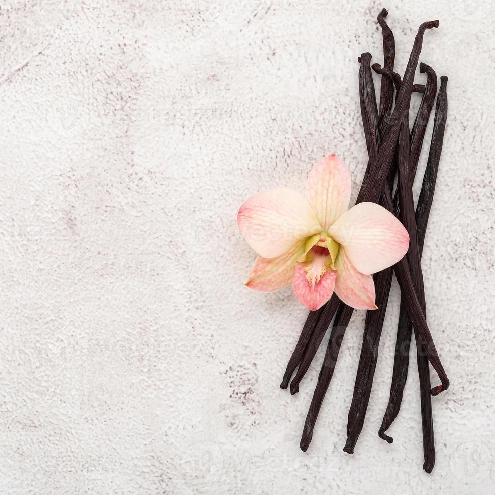 palitos de vainilla secos y flor de orquídea sobre fondo de hormigón blanco. foto