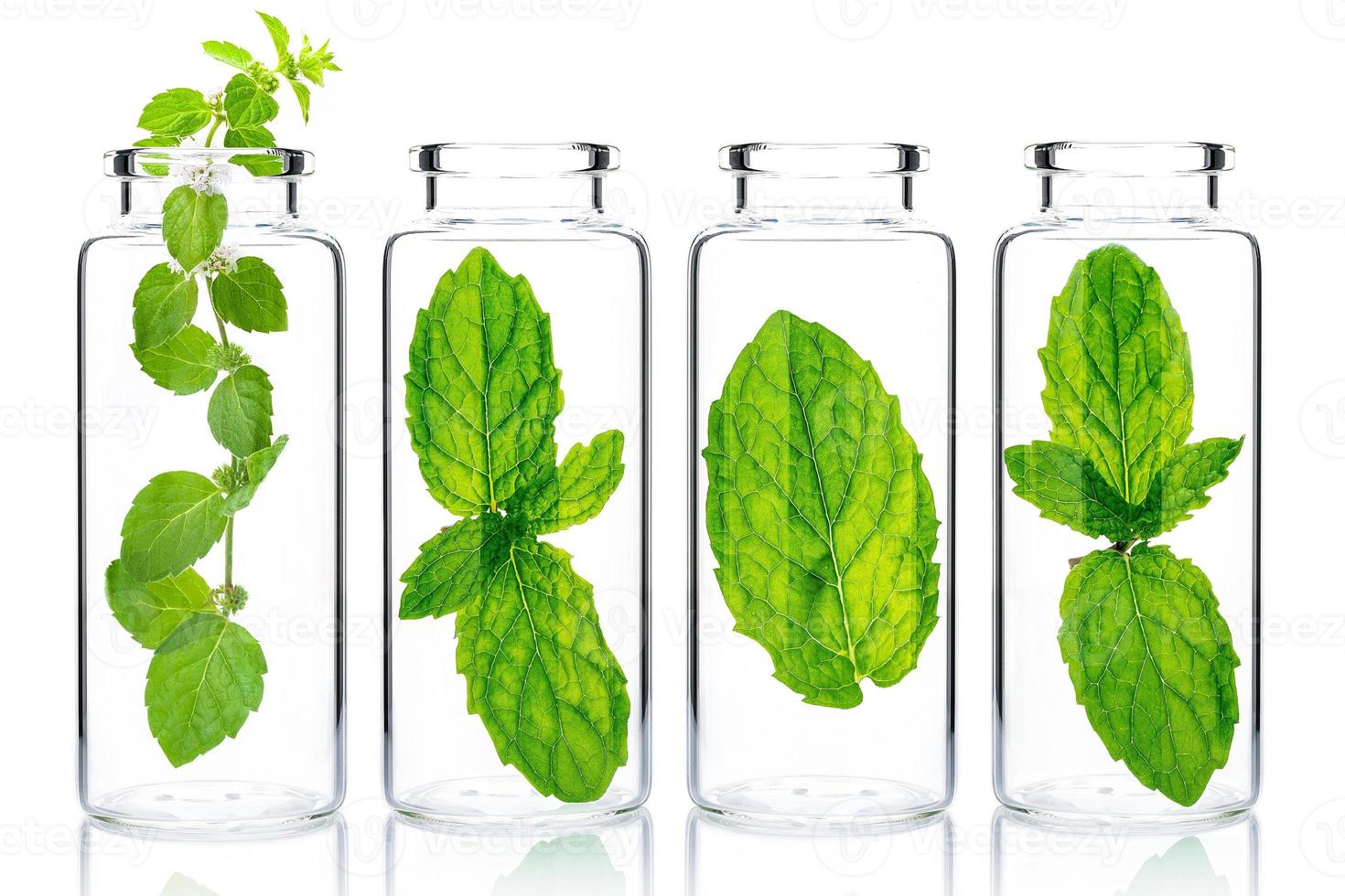 Bottles of essential oil with mint isolated on white background. photo