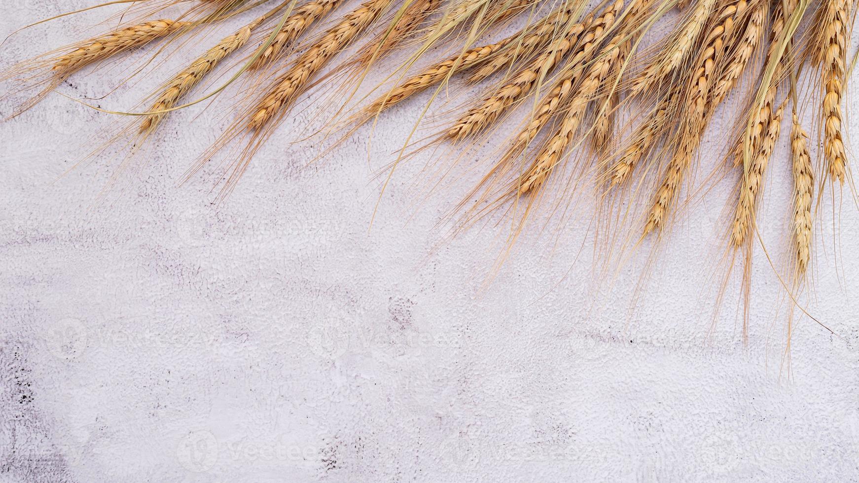 Wheat ears and wheat grains set up on white stone background. photo
