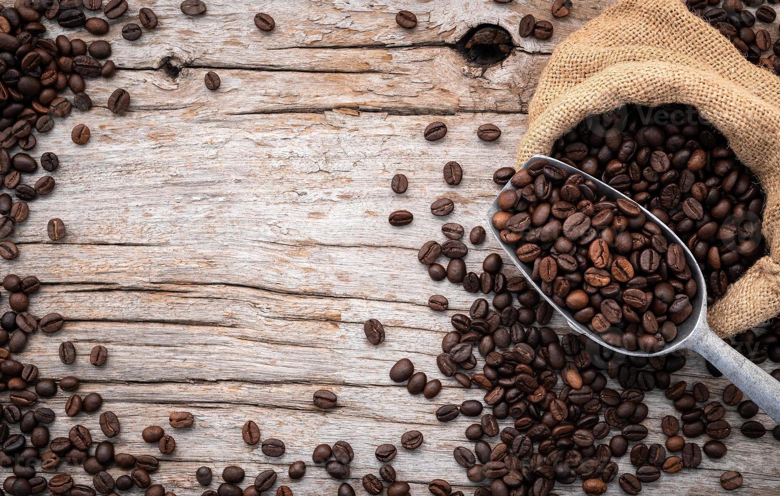 Background of dark roasted coffee beans with scoops setup on wooden background with copy space. photo