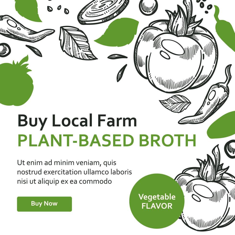 Buy local farm plant based broth, vegatable flavor vector