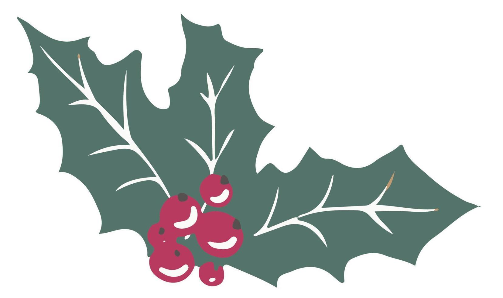 Mistletoe plant with berries and evergreen foliage vector