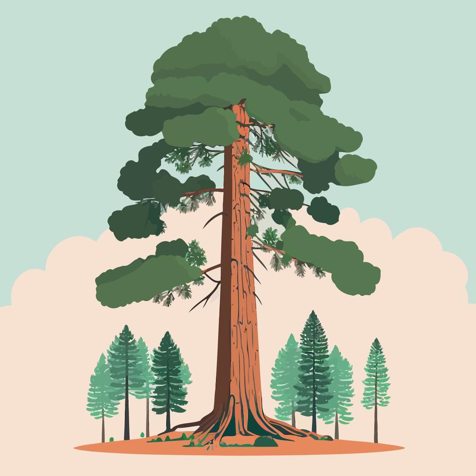 adult giant sequoia tree vector