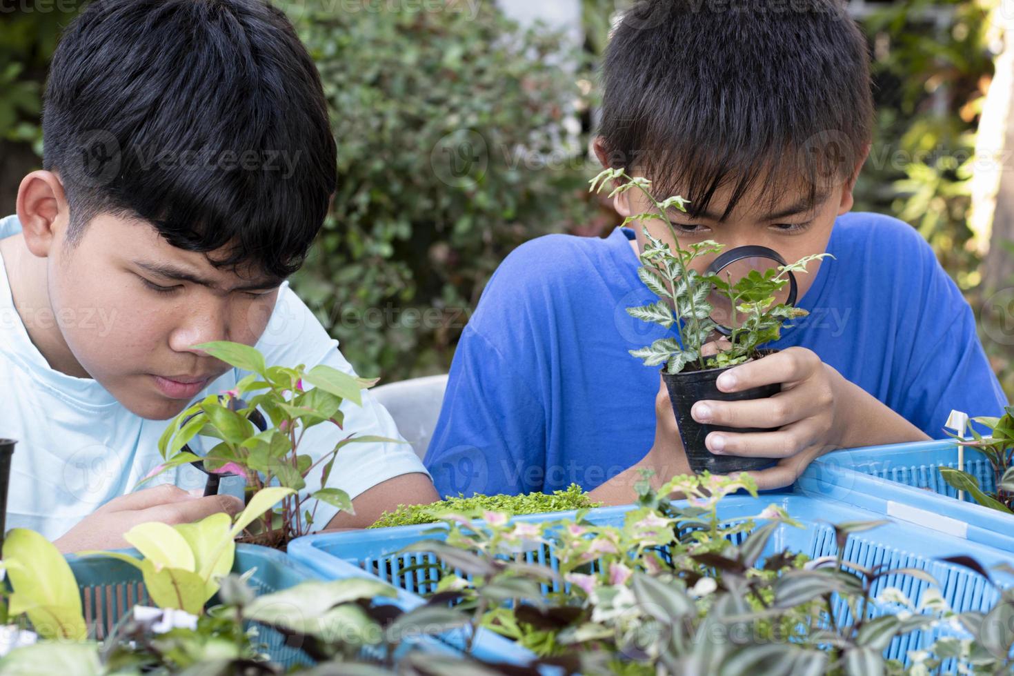 un grupo de jóvenes asiáticos sostiene una lupa y plantas en macetas y mira a través de la lente para estudiar especies de plantas y hacer proyectos, concepto de aprendizaje en el aula al aire libre, enfoque suave y selectivo. foto