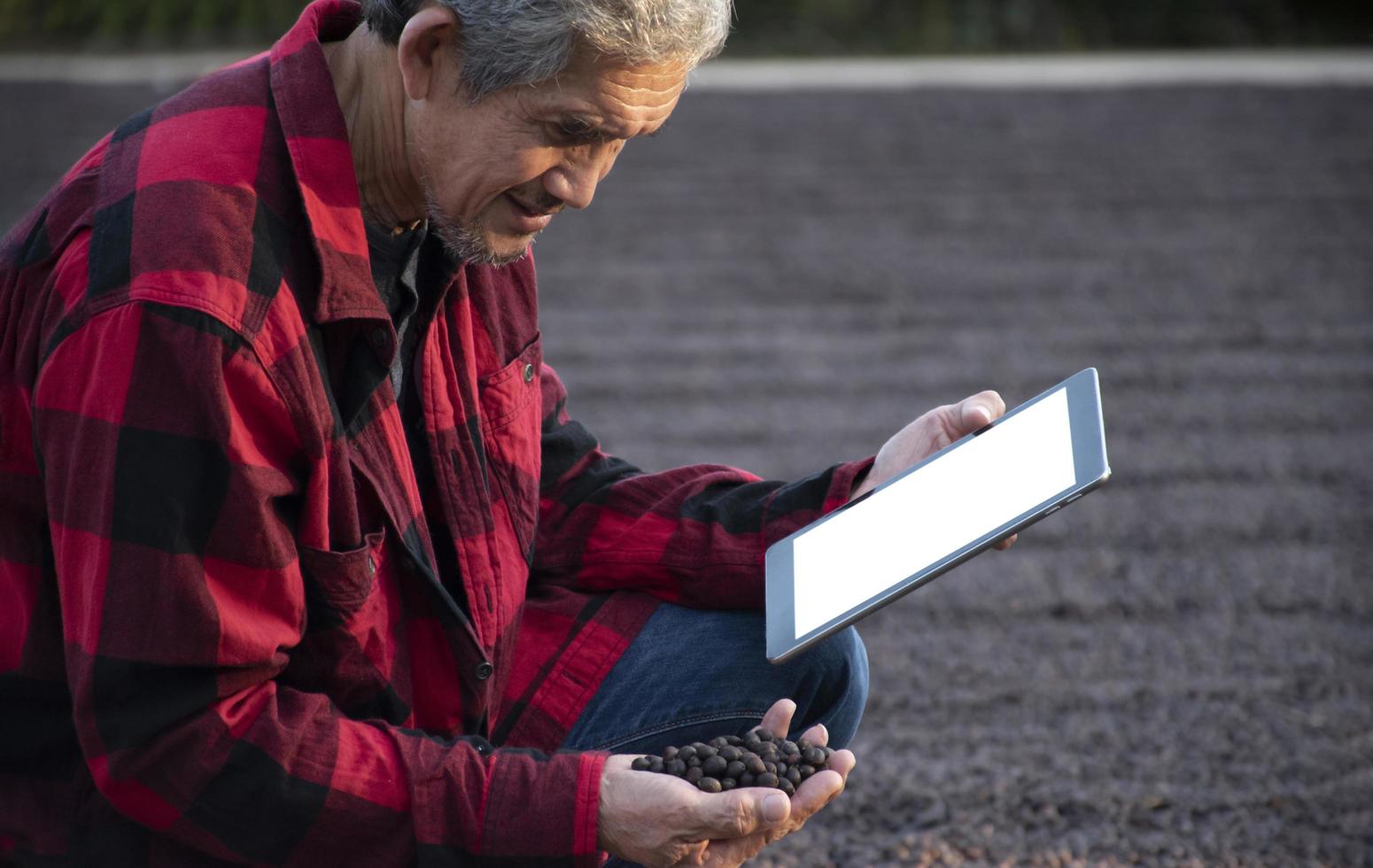 Elderly asian smart coffee bean farmer in red and black shirt sitting in the middle area of coffee bean pile drying floor and holding taplet in hand to check coffee quality, soft and selective focus. photo