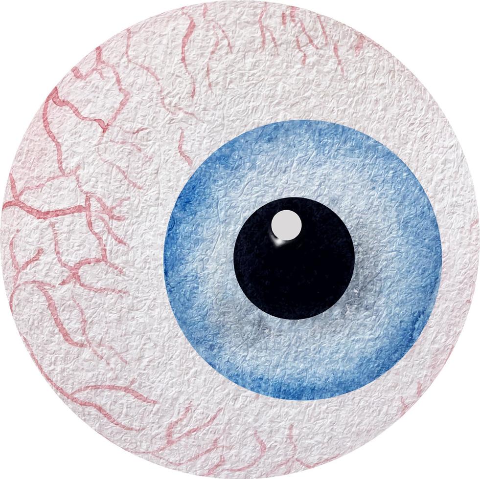 colección de anatomía de acuarela. ojo azul. partes del cuerpo humano aisladas sobre fondo blanco. ilustración médica vector