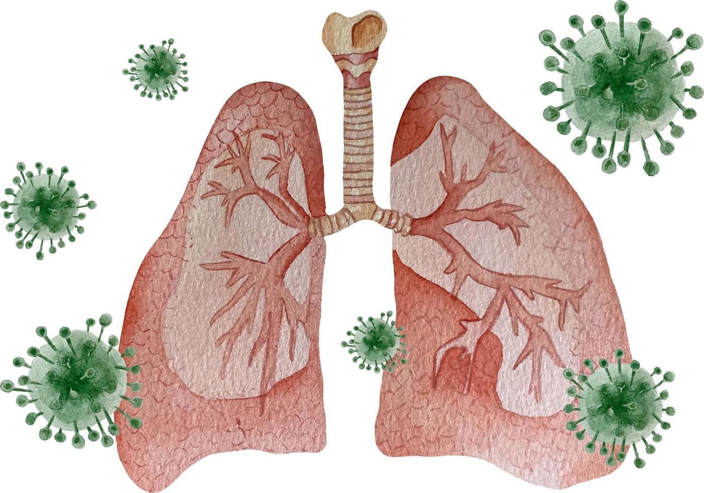acuarela pulmones humanos con virus vector
