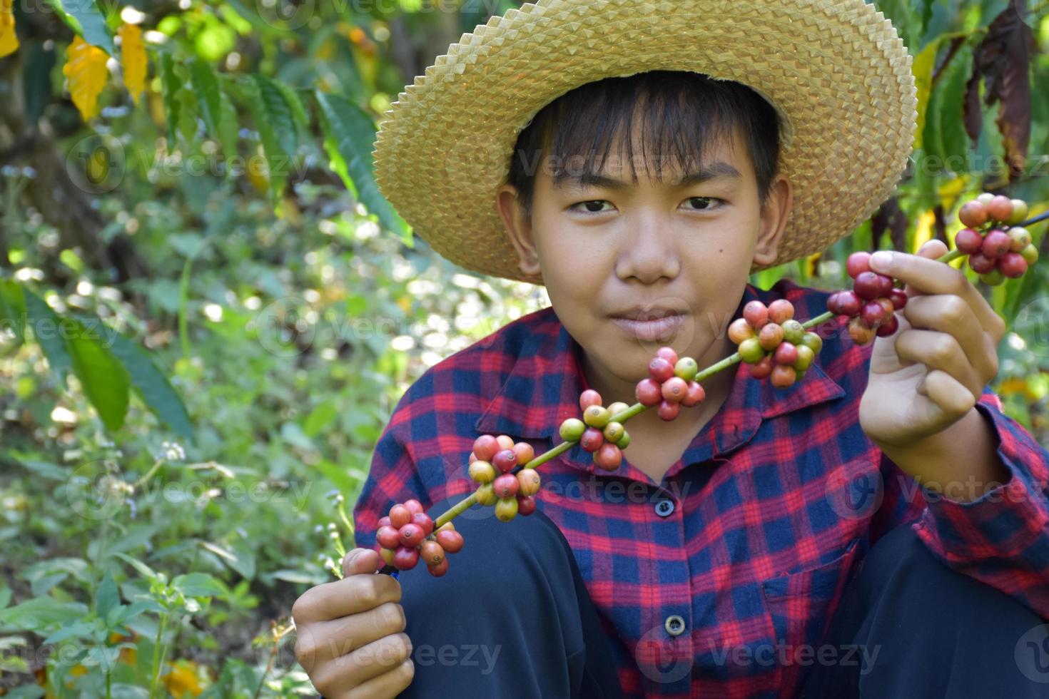 retrato joven asiático sostiene un montón de fruta de cereza de café en medio del jardín de café para estudiar fuera del aula. foto