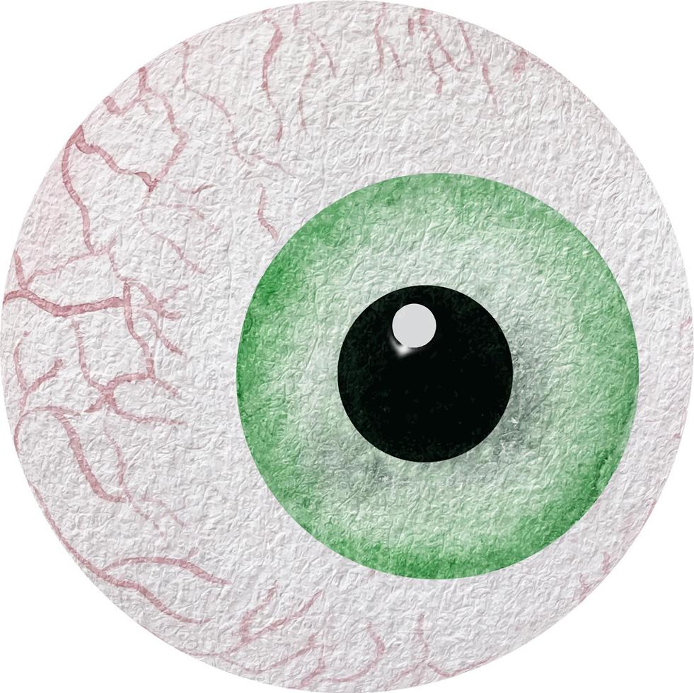 Watercolor human green eye. Watercolor anatomy collection. Medical illustration vector