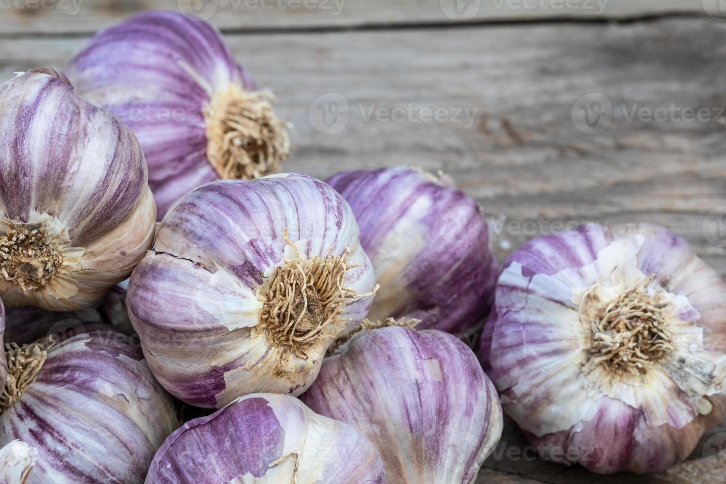 Garlic on wooden vintage background. Seedlings for planting garlic. photo