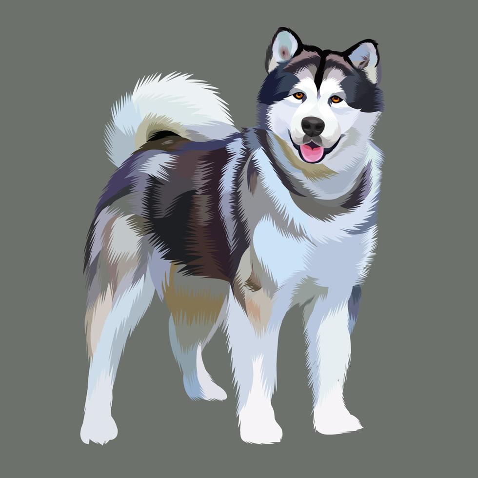 Alaskan malamute siberian husky vector