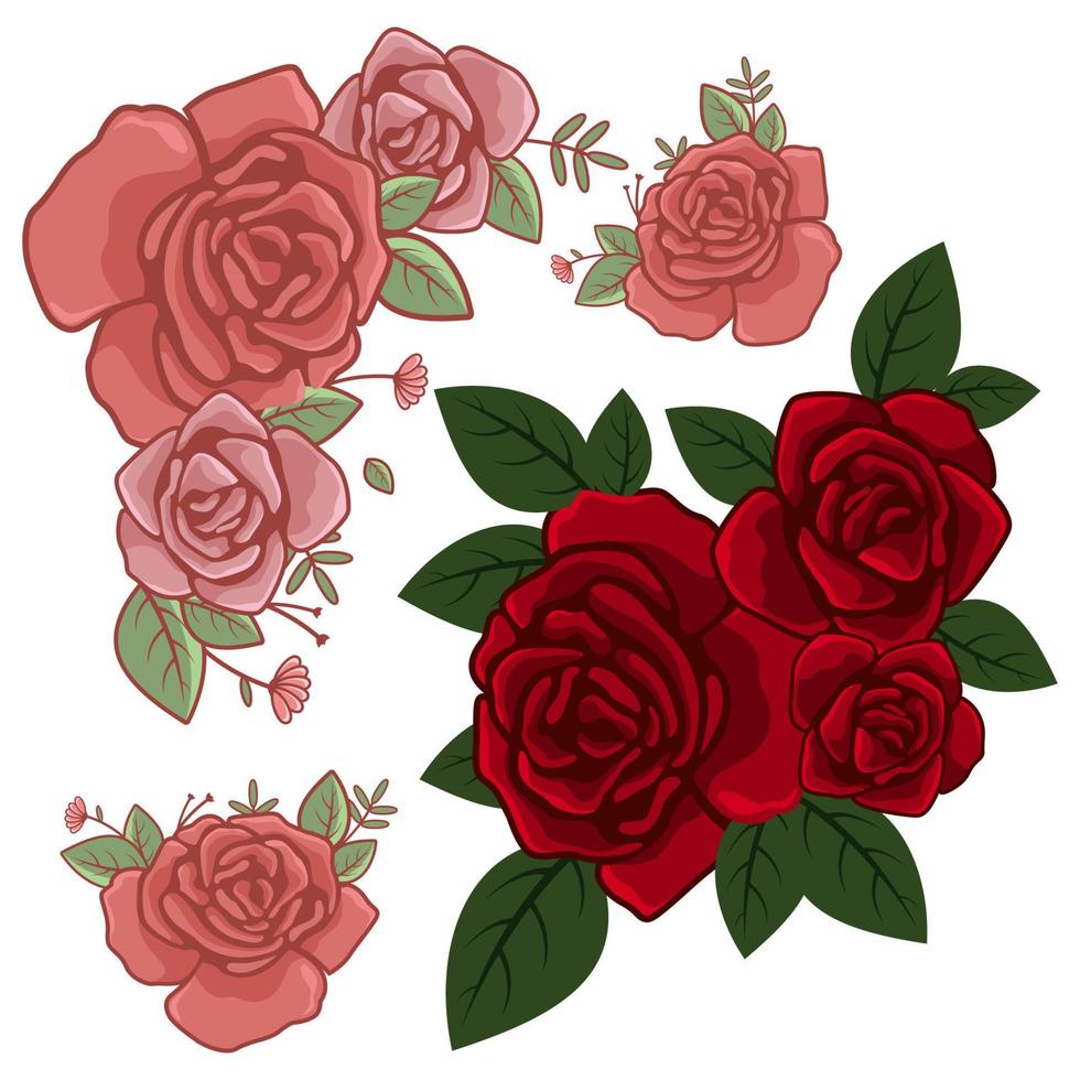 Roses vector illustration