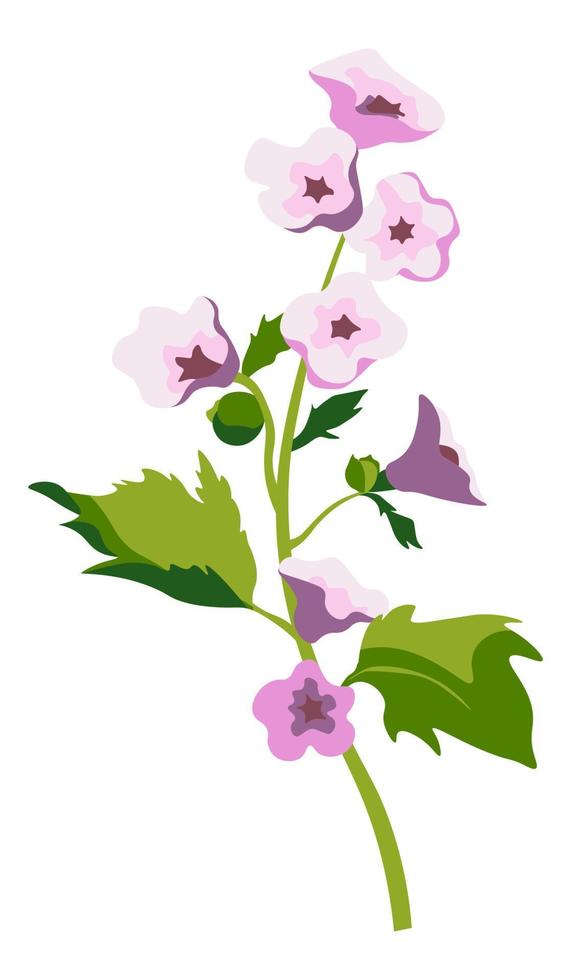 althaea officinalis planta floreciente, floreciendo vector