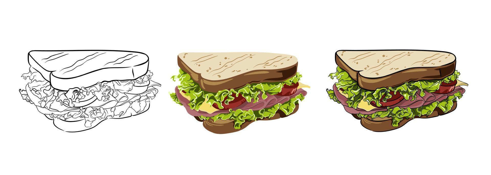 vector set of sandwiches hand drawn, drawing in outline and in color. food vector illustration