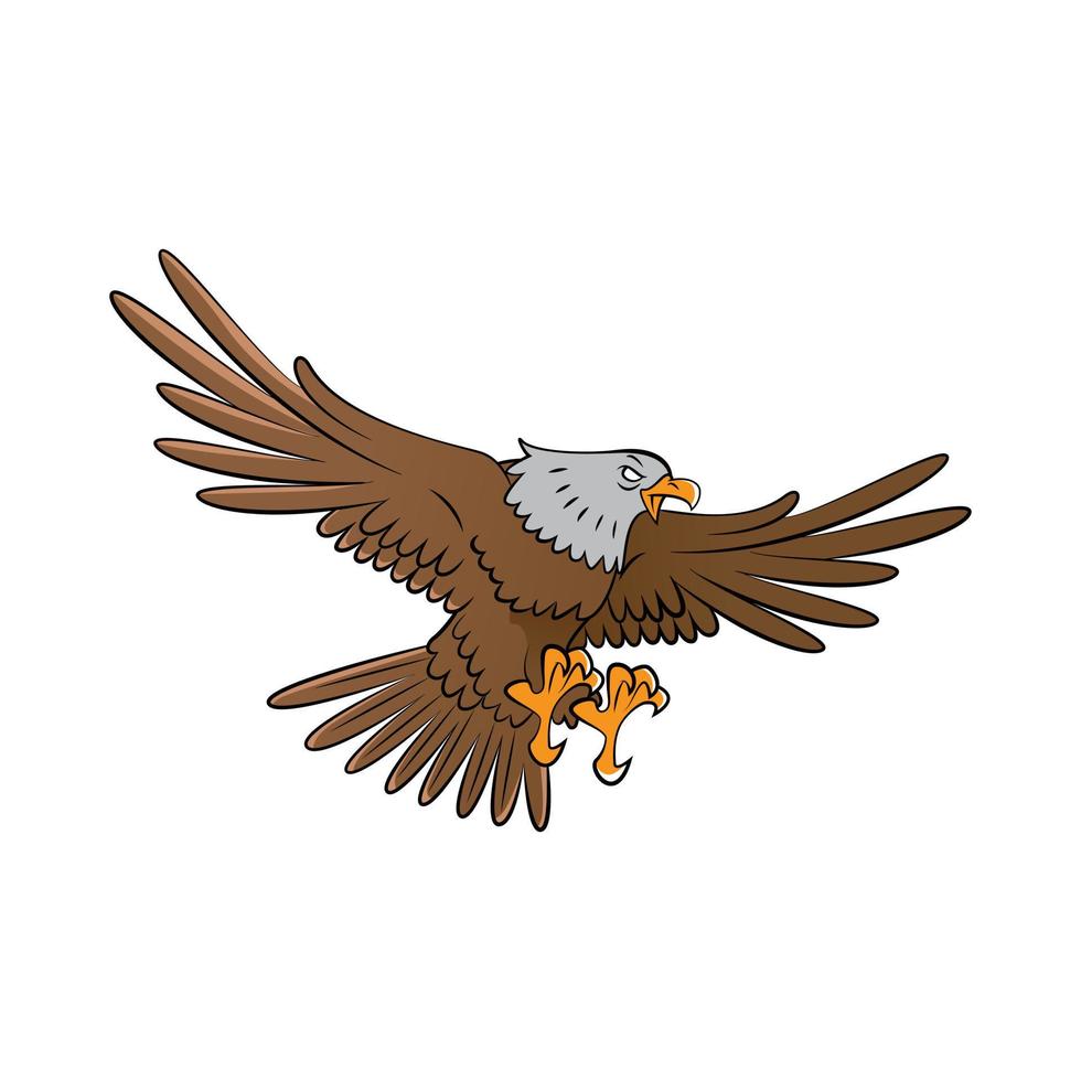 Eagle Bird Illustration vector