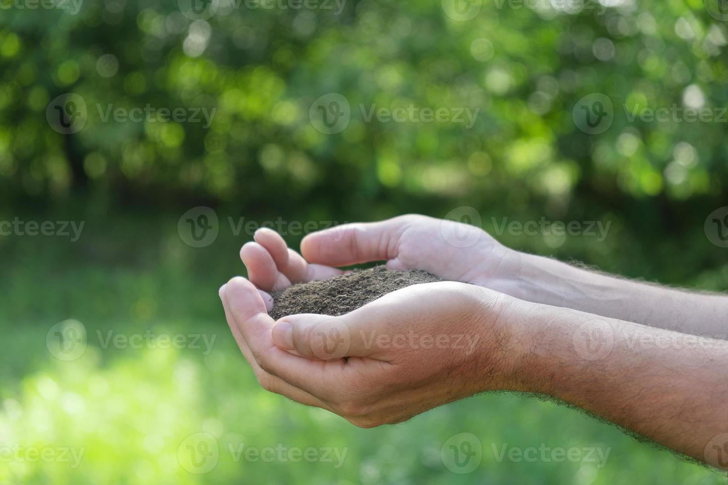 tierra en manos sobre un fondo verde. concepto de agricultura y horticultura foto