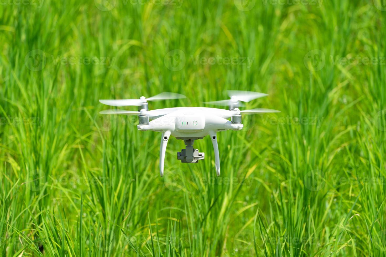 Drone is flying on the green paddy rice field. photo