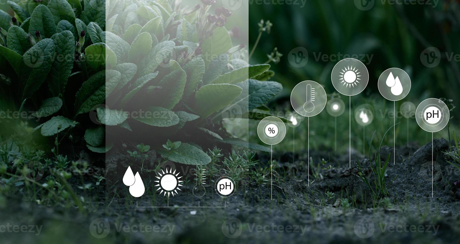 Soil quality control, checking the level of moisture, alkaline environment, temperature. photo