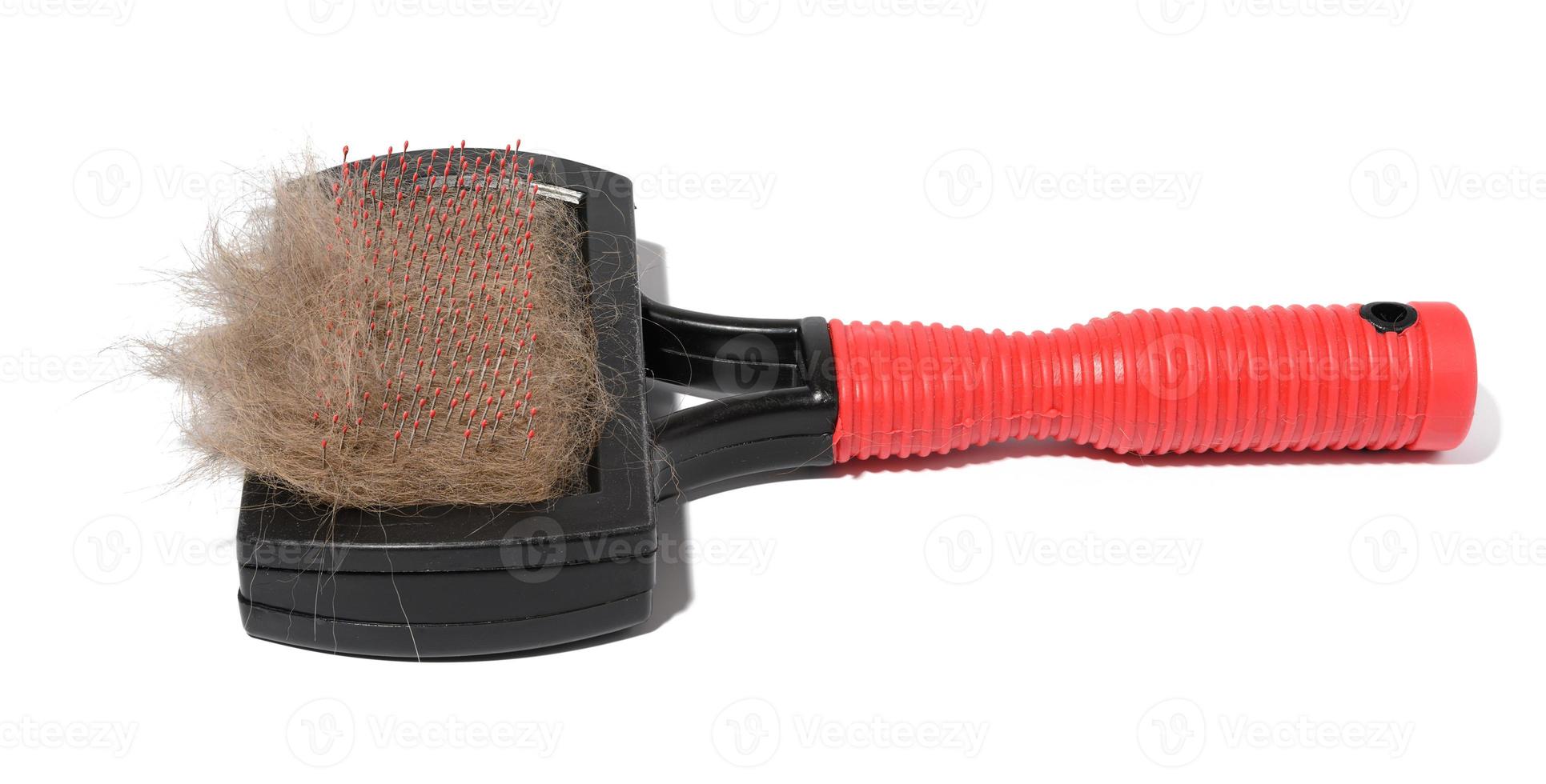 Plastic brush and combing out wool in animals and a tuft of gray cat hair on a white background photo
