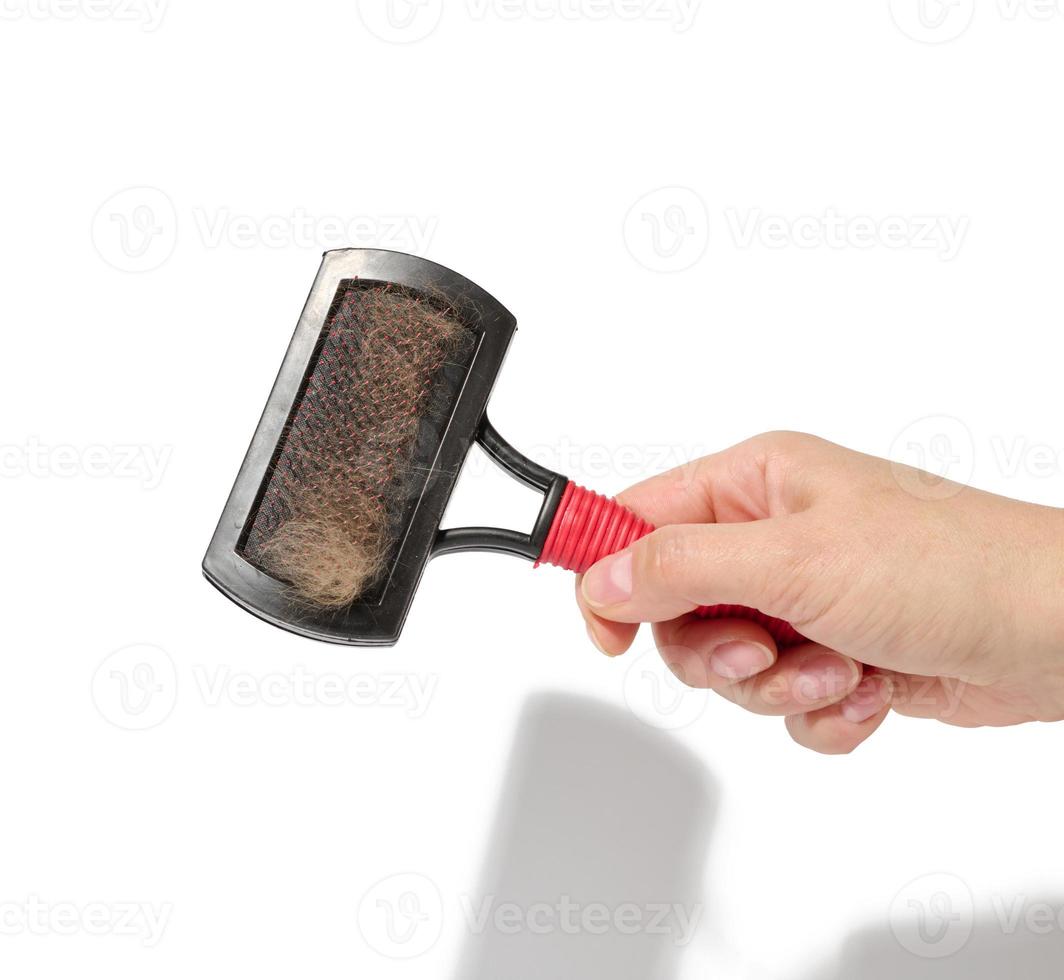 A woman's hand holds a brush for combing animal hair on a white background photo