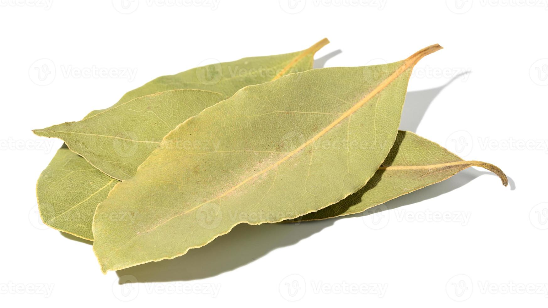 hoja de laurel seca sobre un fondo blanco aislado, de cerca foto