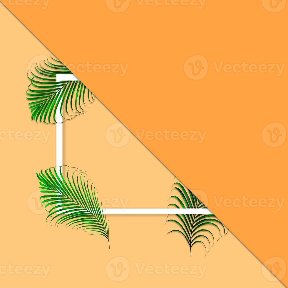 Green palm leaves pattern for nature concept,tropical leaf on orange paper background photo