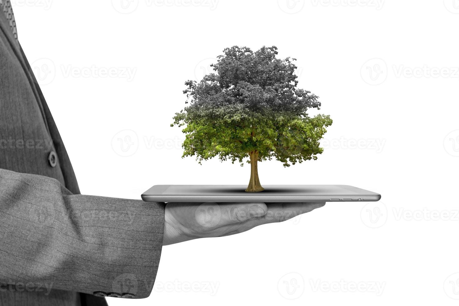 Businessman holding a tablet with tree isolated on white background,Business concept are failing photo