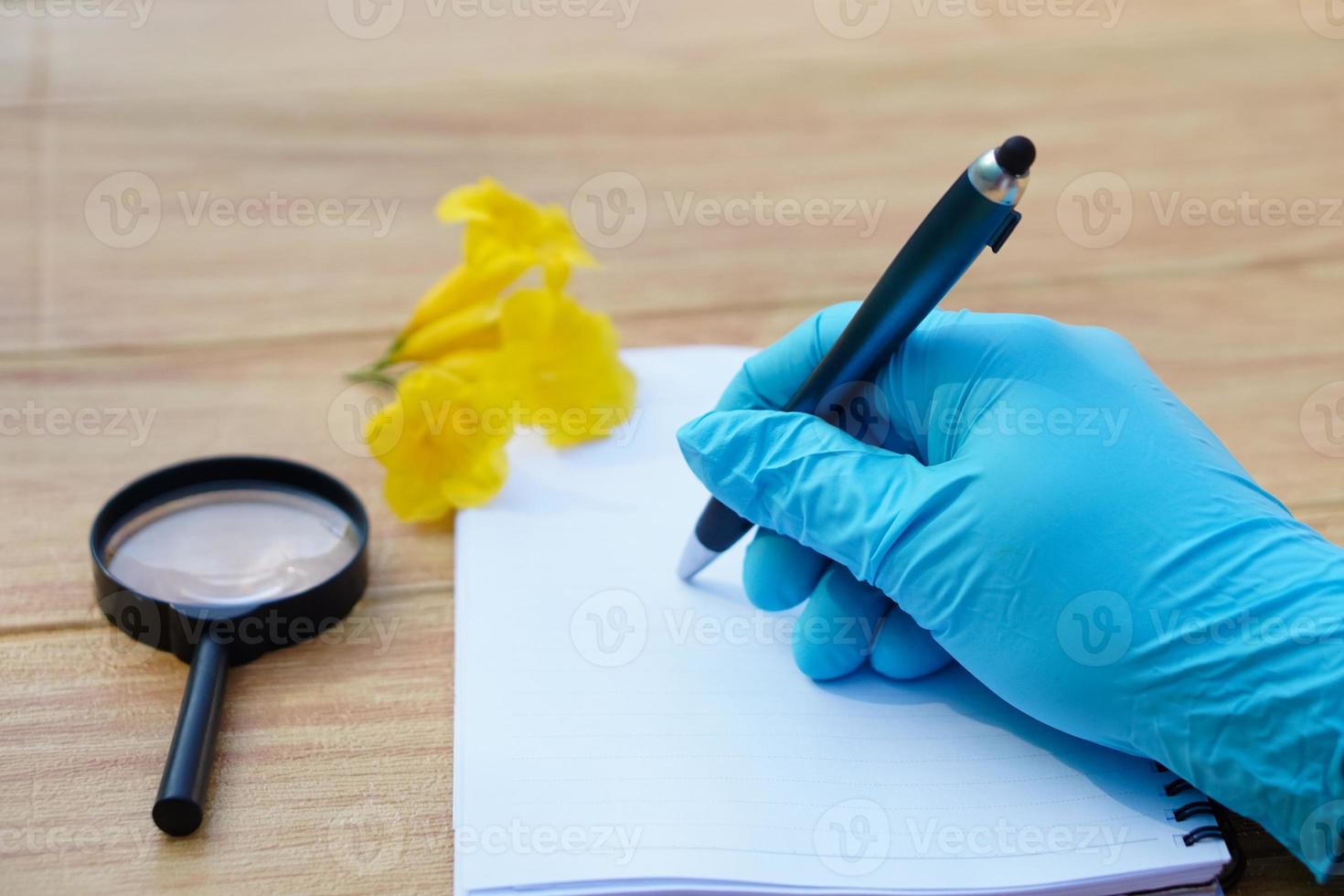 Student  hands in protective gloves hold magnifying glass to inspect flowers, holds pen to write on paper. Concept, science subject, project work. Experiment, education, learning by doing approach. photo